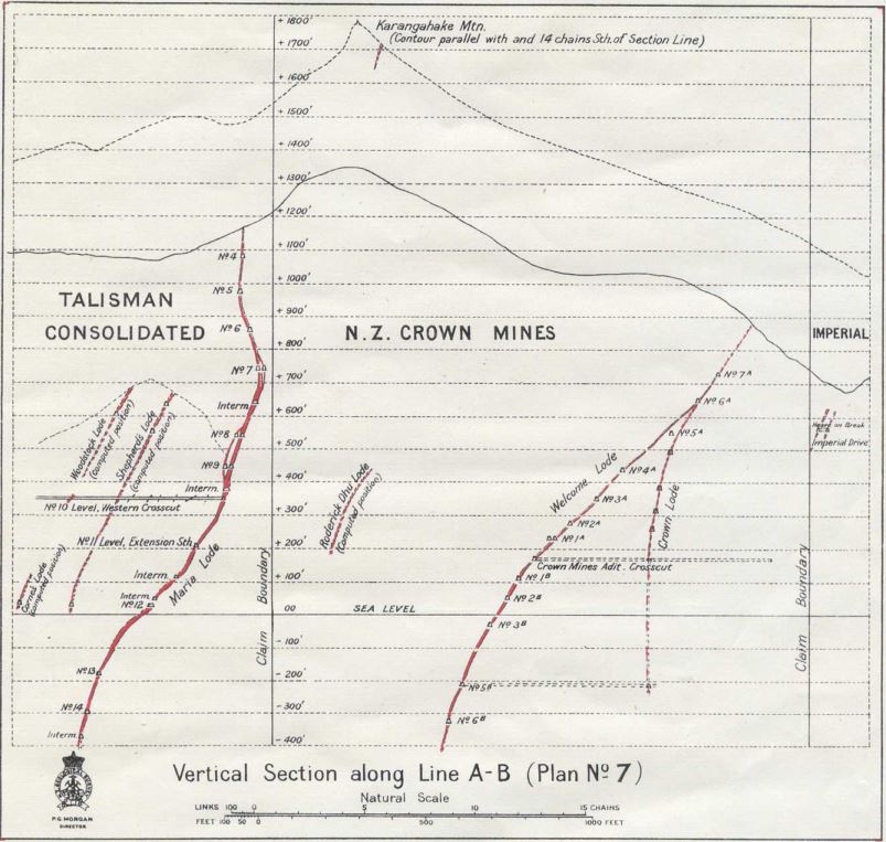 CROSS SECTION OF VEIN SYSTEMS WITHIN THE MINING PERMIT